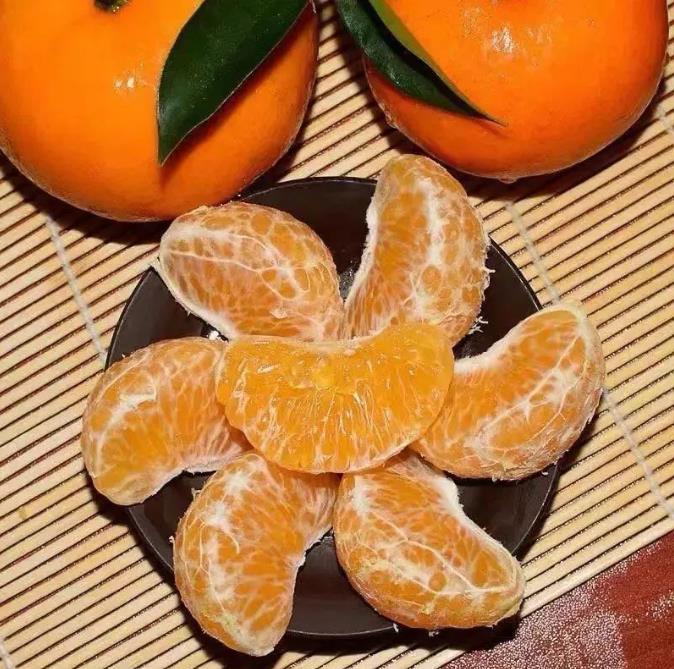 进口水果澳柑和国产水果沃柑的区别，澳柑是橘子还是橙子?